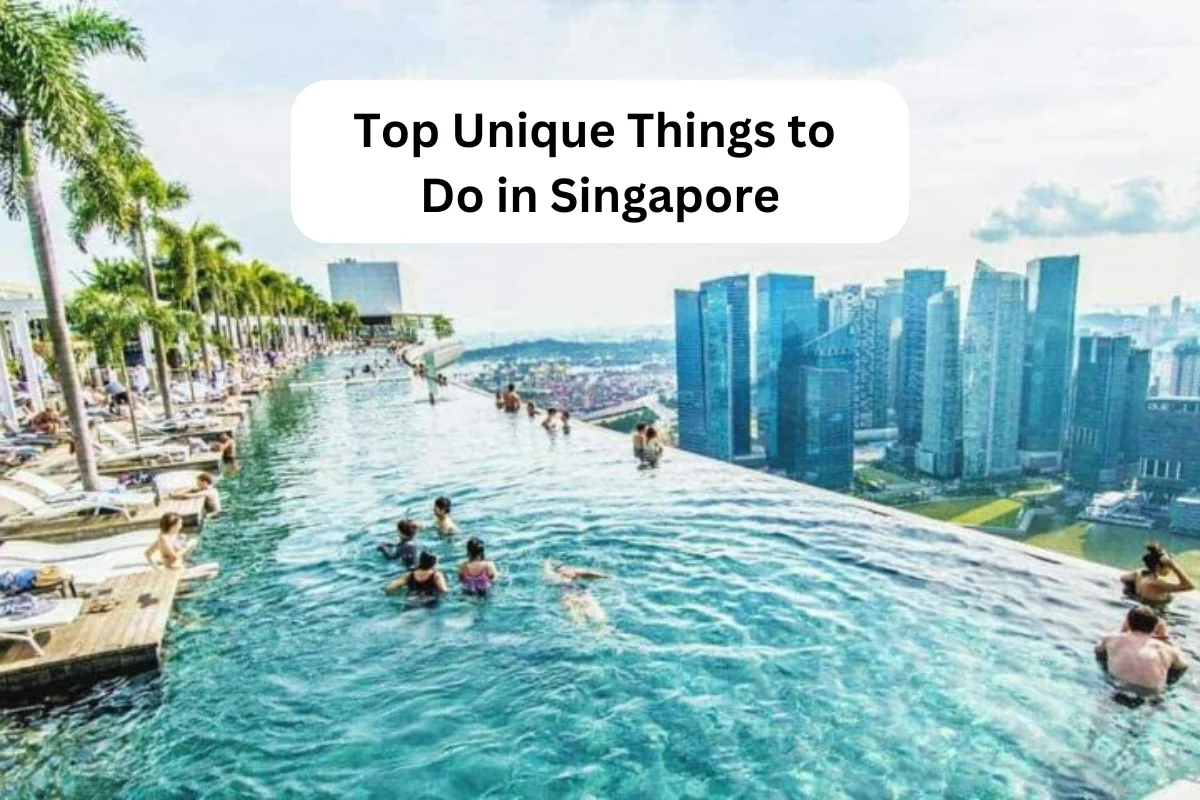 Top 10 Unique Things to Do in Singapore: You Can’t-Miss