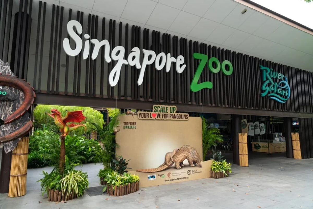 Fun Places in Singapore