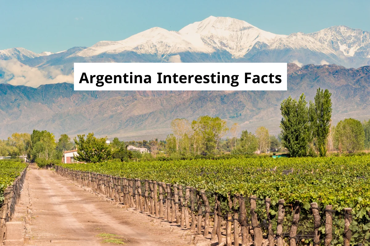 15 Argentina Interesting Facts to Know Before You Go