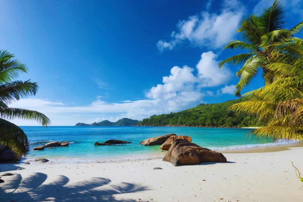 Australia Has More Beaches Than You Can Count