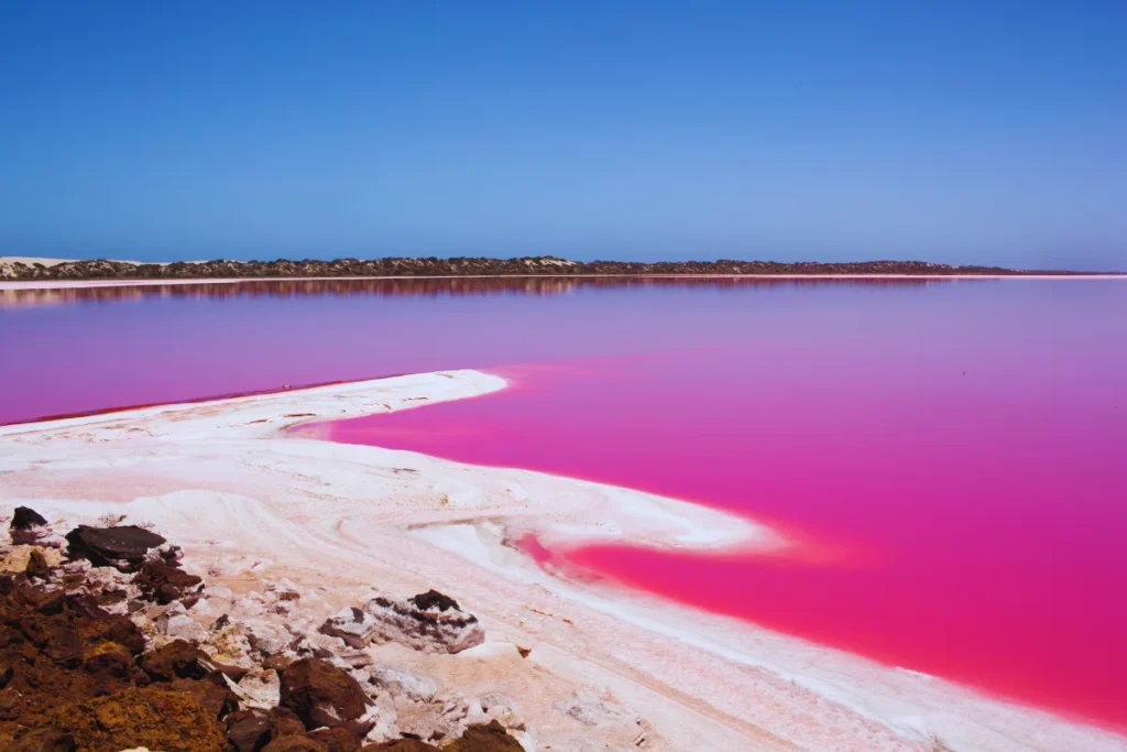 You’ll Find a Pink Lake in Australia
